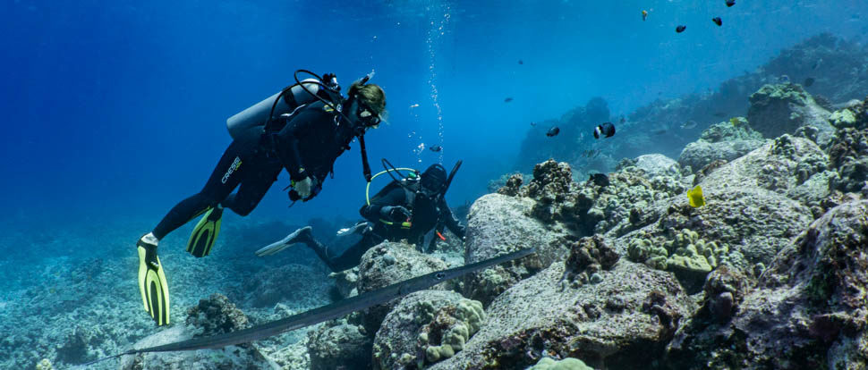 2 divers looking at something in the reef rocks with fish around