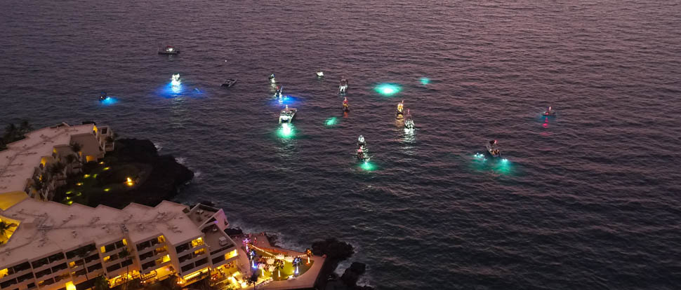 a cluster of brightly lit boats and underwater lgihts in the ocean near the coast at sunset