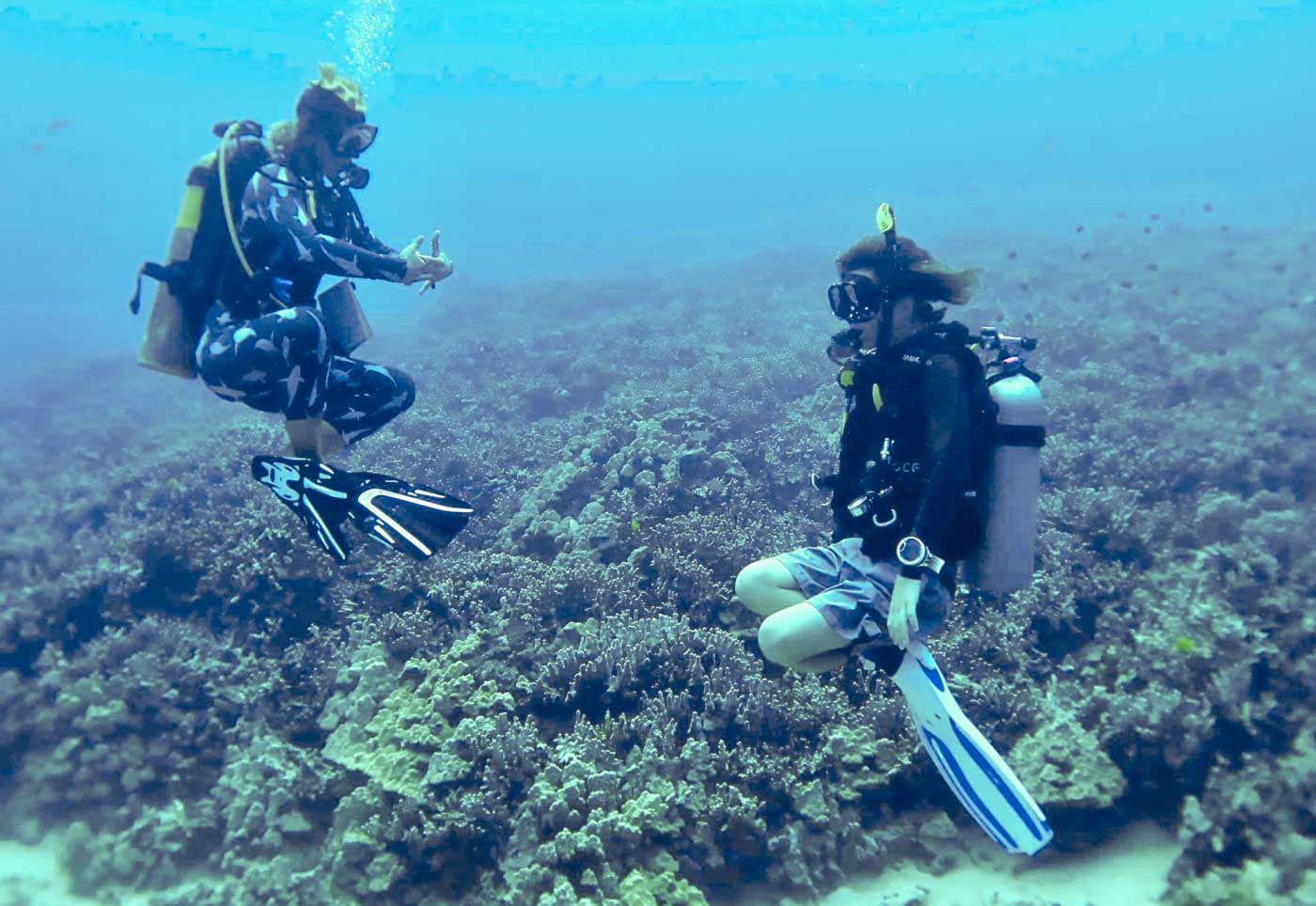two divers floating over the reef holding their fins