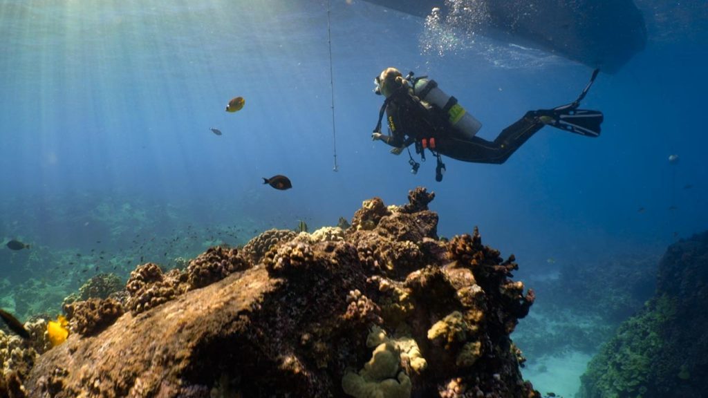Scuba Diving Hawaii with Kona Honu Divers 22