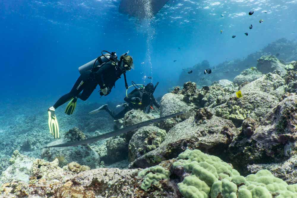 Scuba Dive in Hawaii with Kona Kona Honu Divers