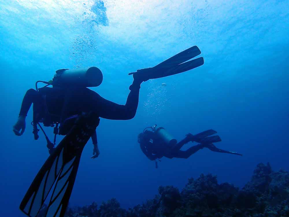 Scuba-Diving-Hawaii-Kona-Honu-Divers-37