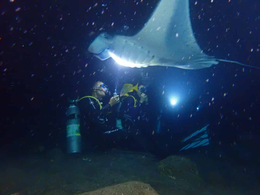 Scuba-Diving-Hawaii-Kona-Honu-Divers-33