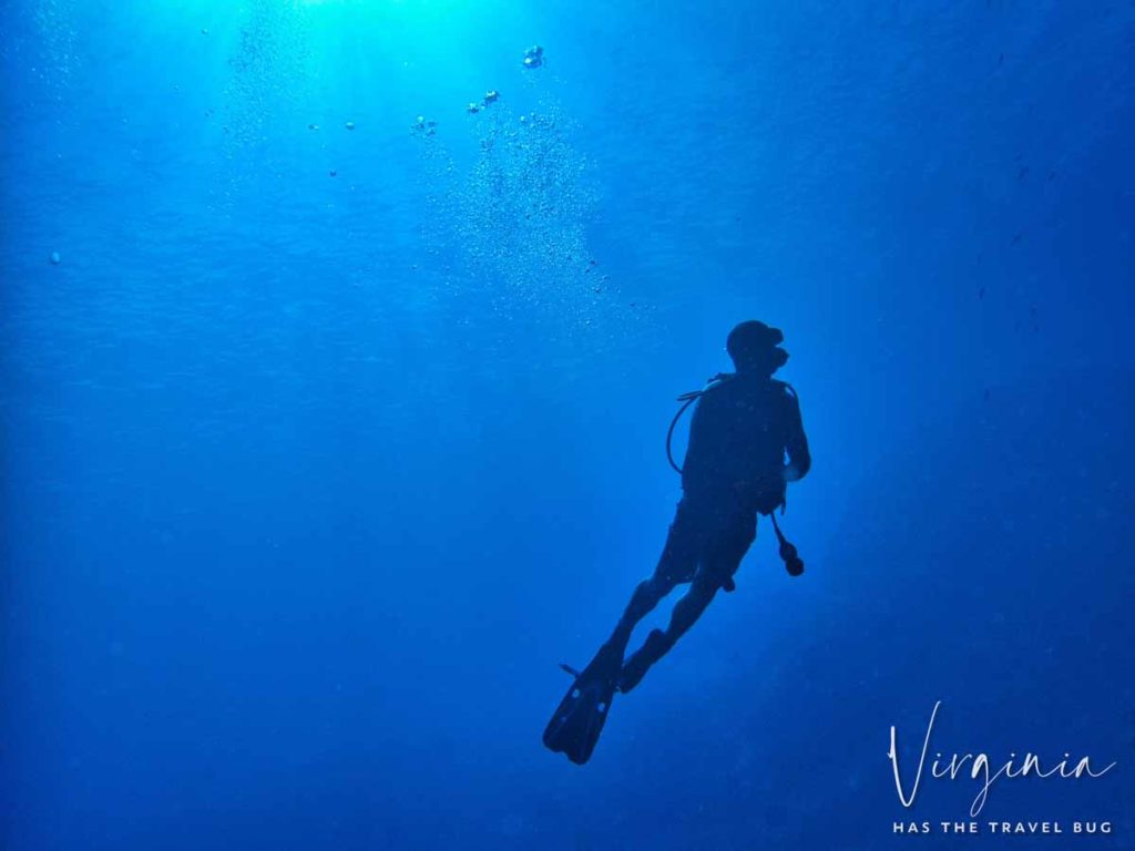 Diving on the big island of hawaii with Kona Honu Divers