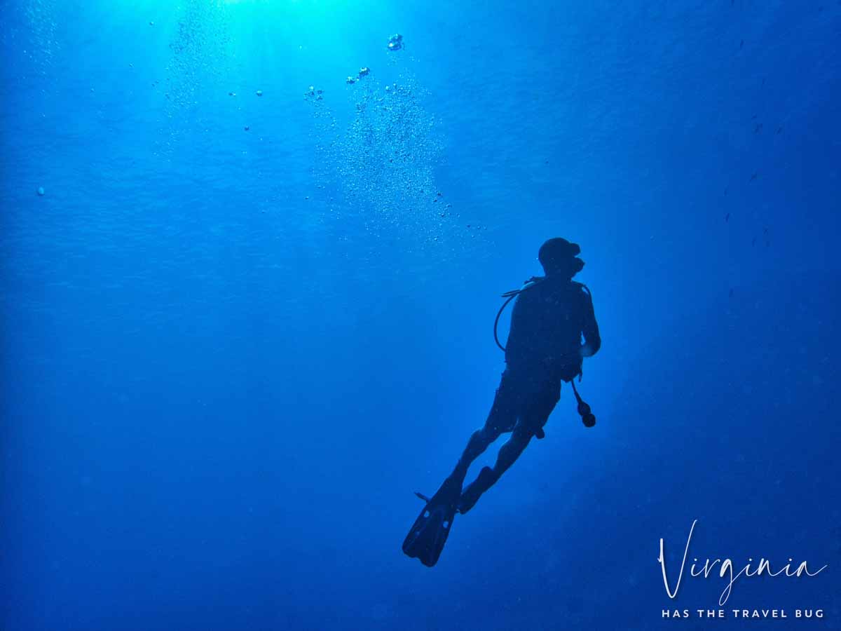 Scuba-Diving-Hawaii-|-Kona-Honu-Divers-95