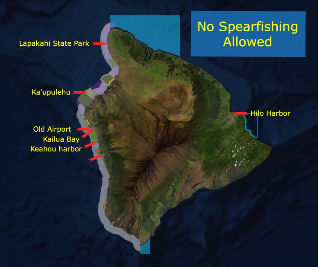 Spearfishing Big Island Guide, Fish Selection