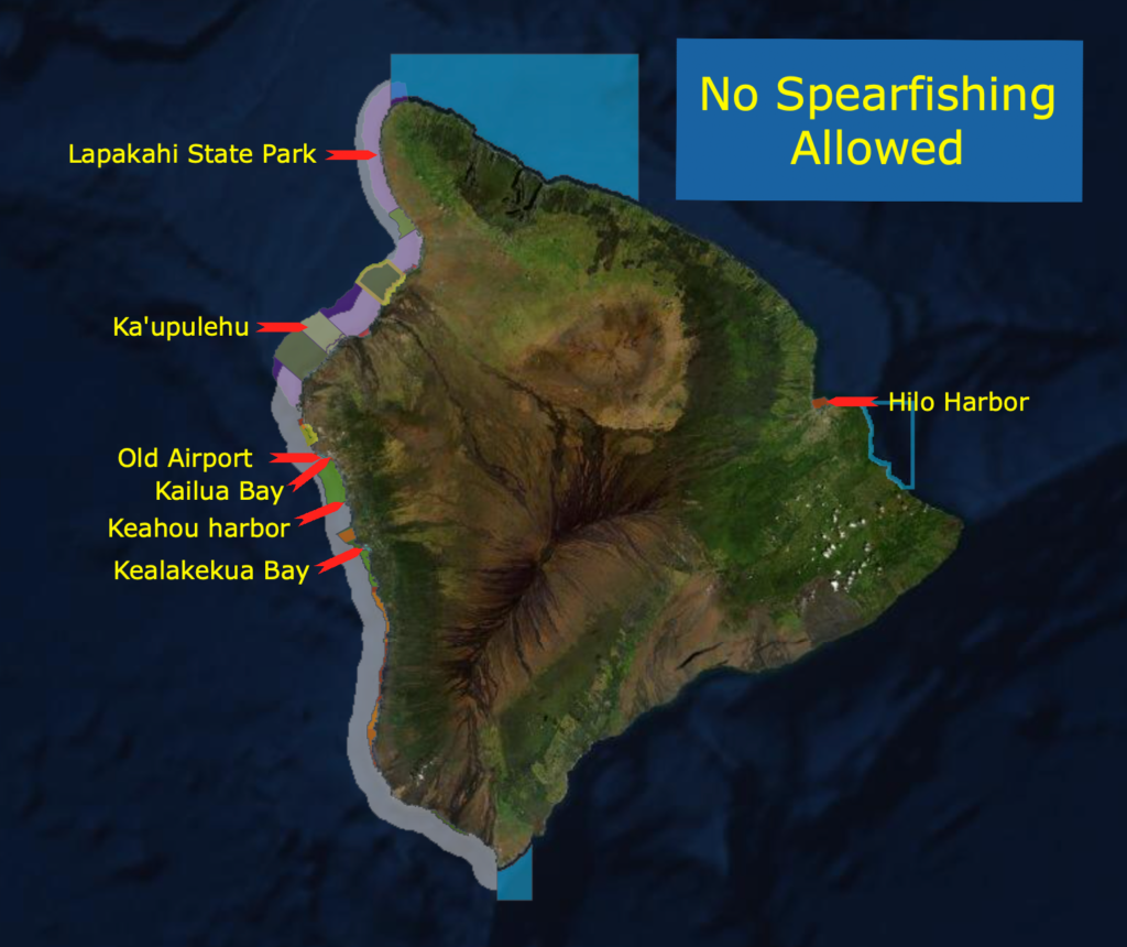 Guide to Spearfishing Big Island Hawai'I