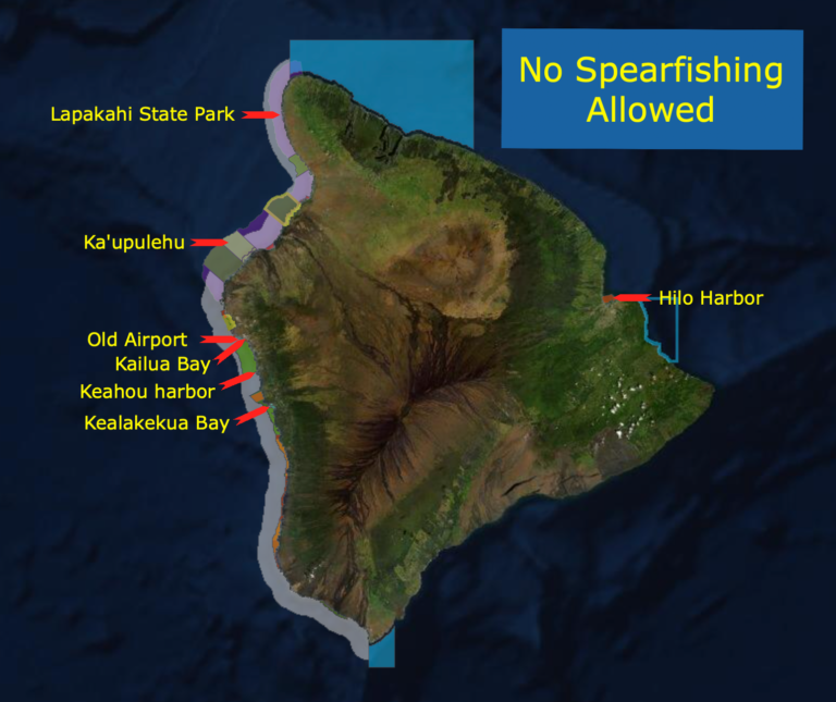 Guide to Spearfishing Big Island Hawai’I Kona Honu Divers