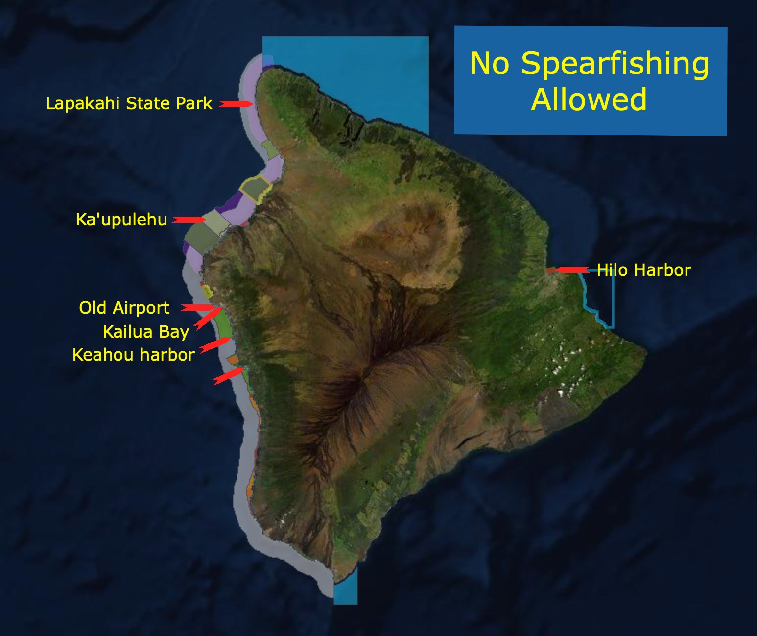 Guide to Spearfishing Big Island Hawai'I