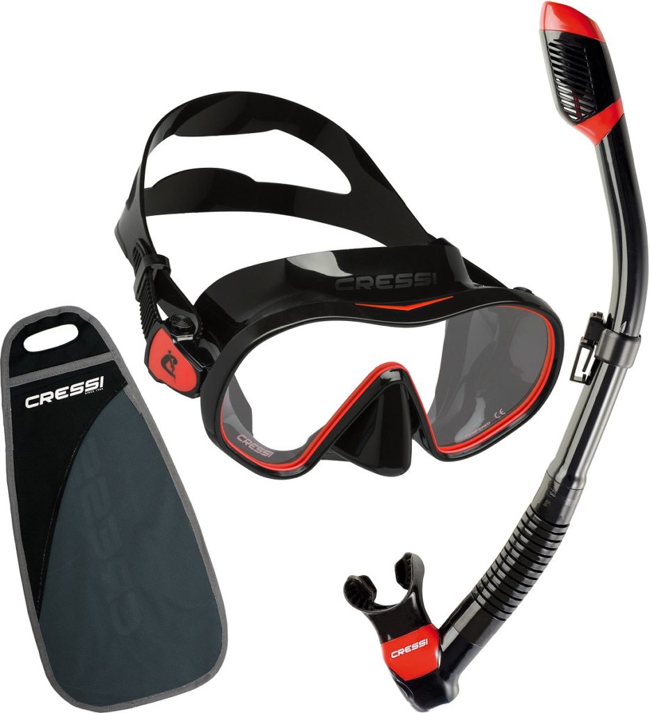 mask and snorkel with bag
