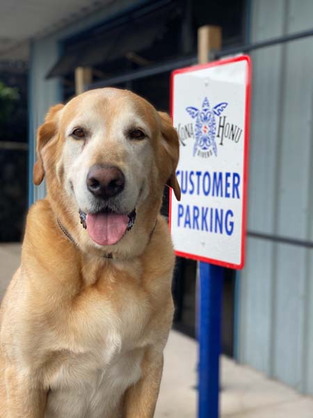 shop dog miles and parking sign