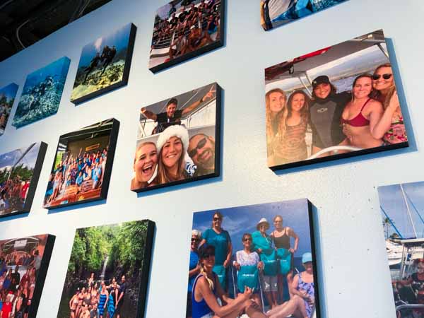 pictures of divers together on wall