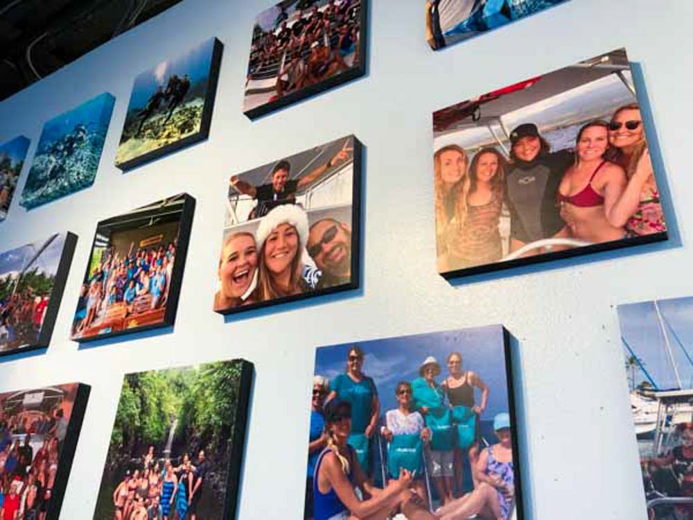 pictures on wall of people who dive