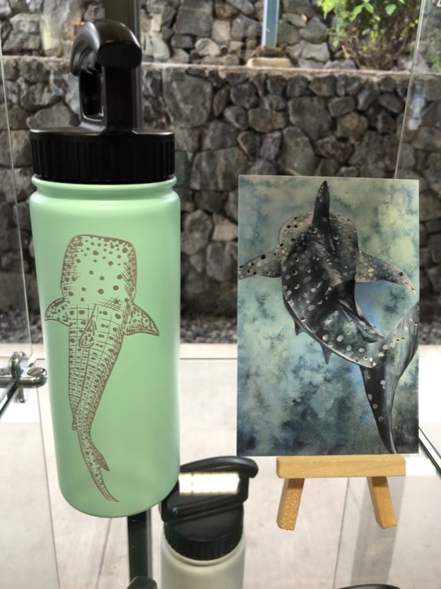 fifty fifty flask and whale shark postcard