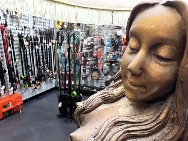 bronze mermaid statue with wall of spearguns and diving gear in background