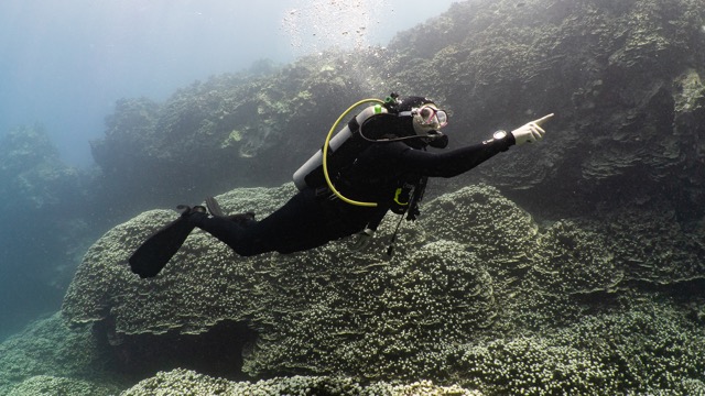 Guide to the Best Scuba Diving in Hawaii