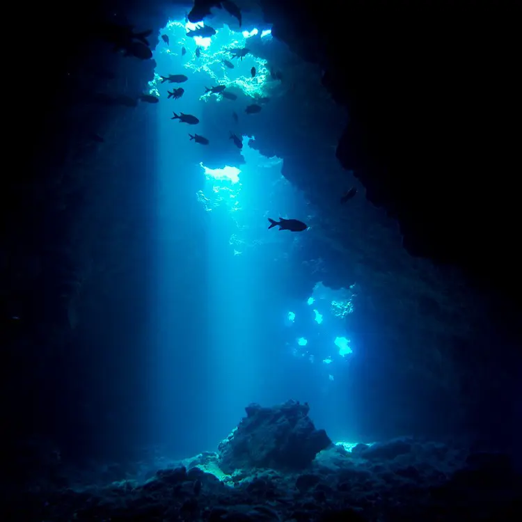 light streaming down through rock with fish silhouettes in foreground
