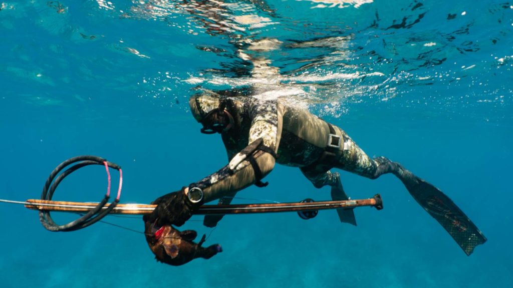 underwater view of as Spearfisherman holding a gun and a fish