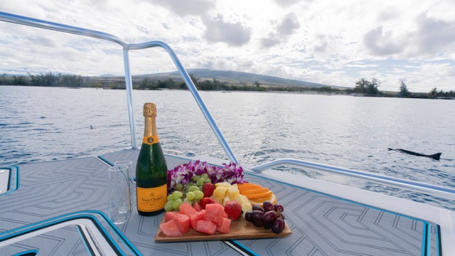 champagne and cheese plate on the bow of a boat with dolphins in the sea behind and a coastline in the distance