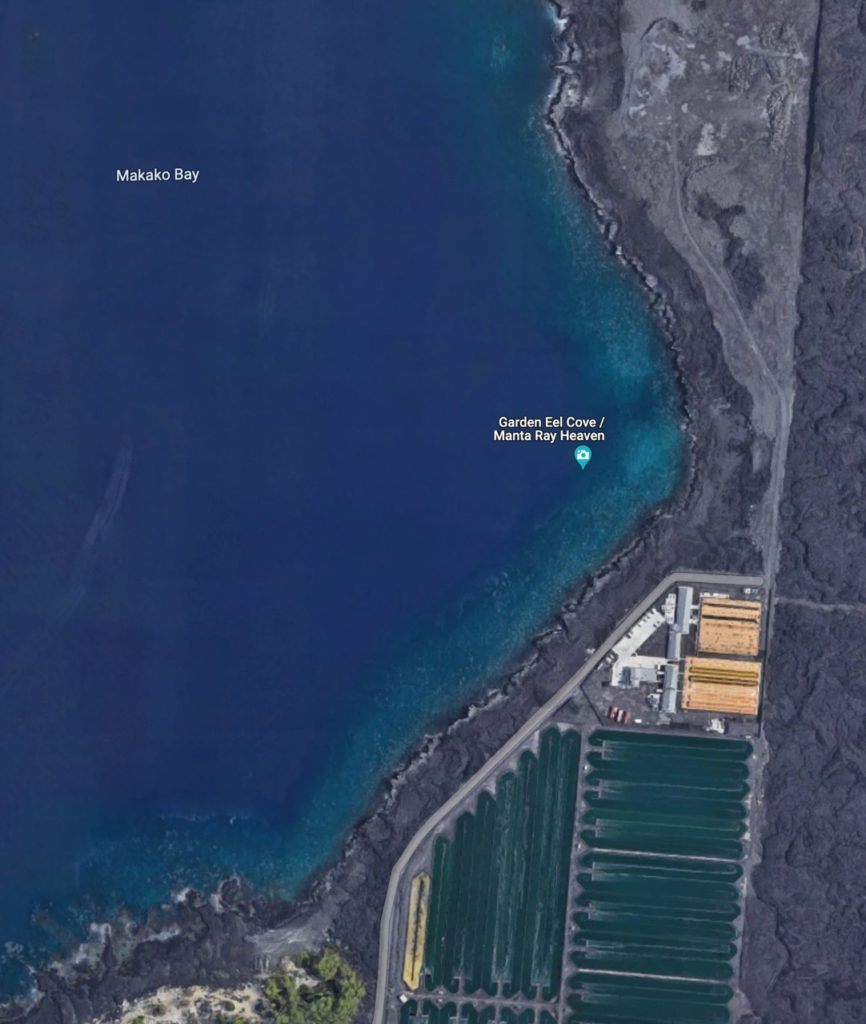 aerial view of makako bay home to manta ray heaven / garden eel cove showing the sea and the lava rock coastline