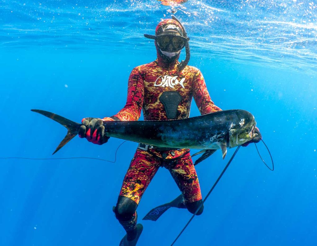 LOOK BEHIND YOU! - Spearfishing Kona, Hawaii