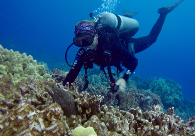 scuba diver looks at eel hiding in coral