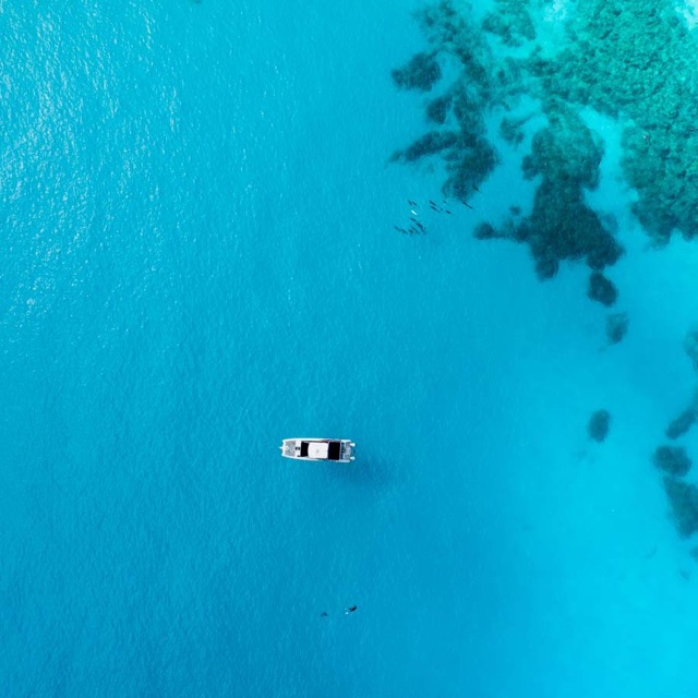 overhead view of boat in ocean near the coast with dolphins swimming nearby