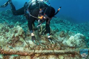 a scuba diver collecting debris wrapped around the coral reef