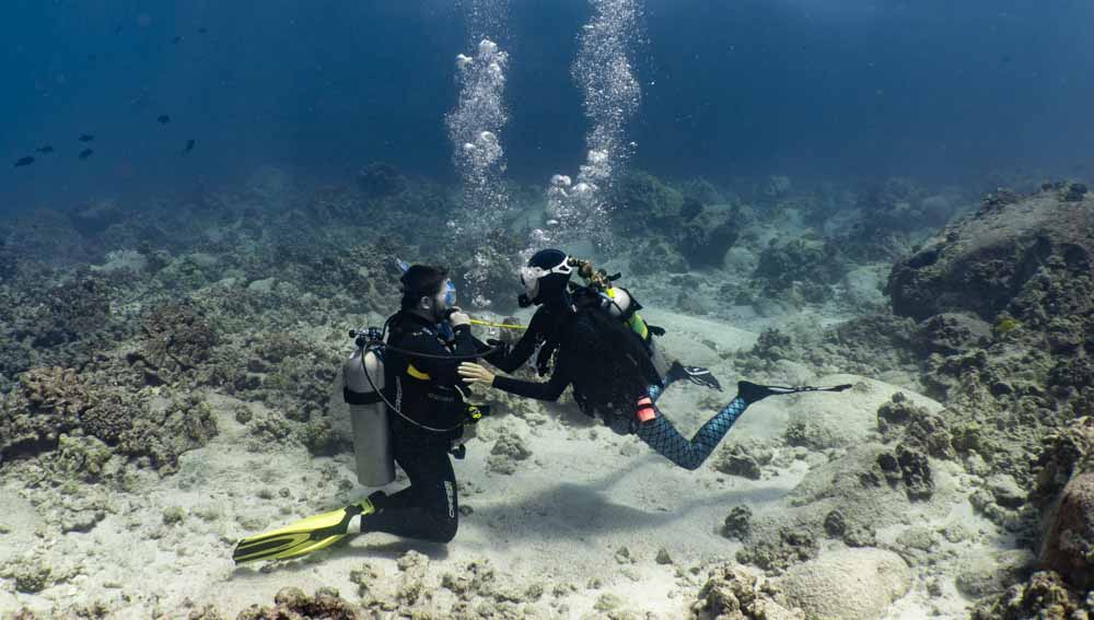 2 divers sit on the bottom of the ocean in clear water with reef and fish in the background