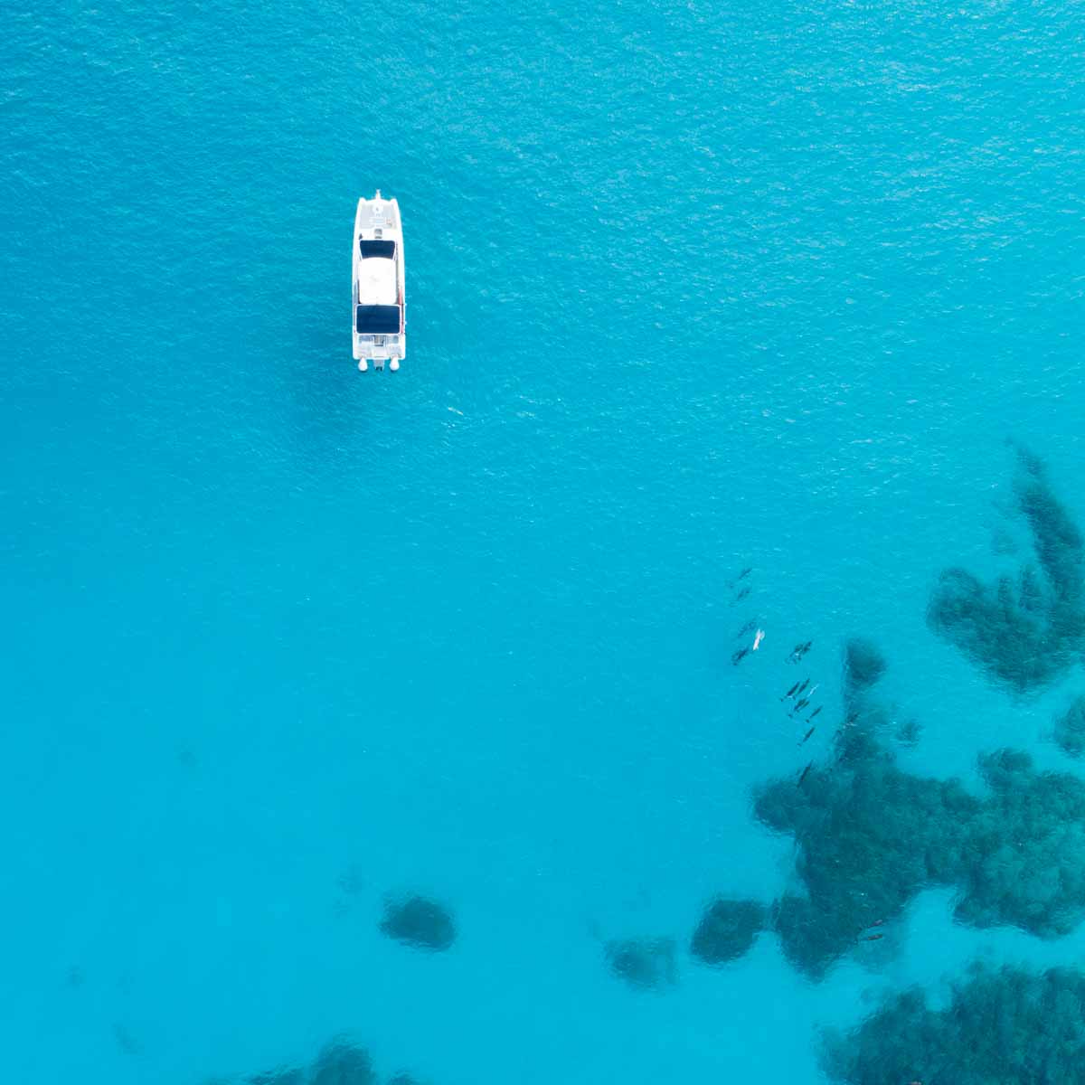 Dive Boat Captain Jobs in Hawaii Kona Honu Divers