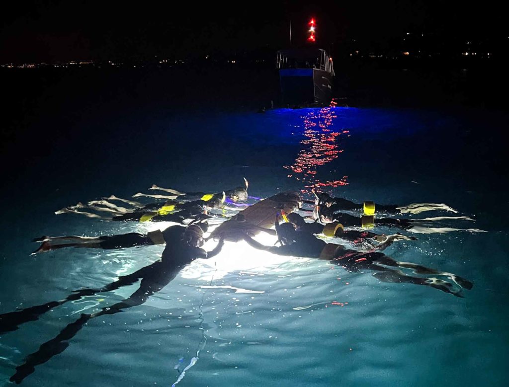 snorkelers lay on the ocean surface holding a surfboard with bright light underneath with a boat behind. It's dark all around.