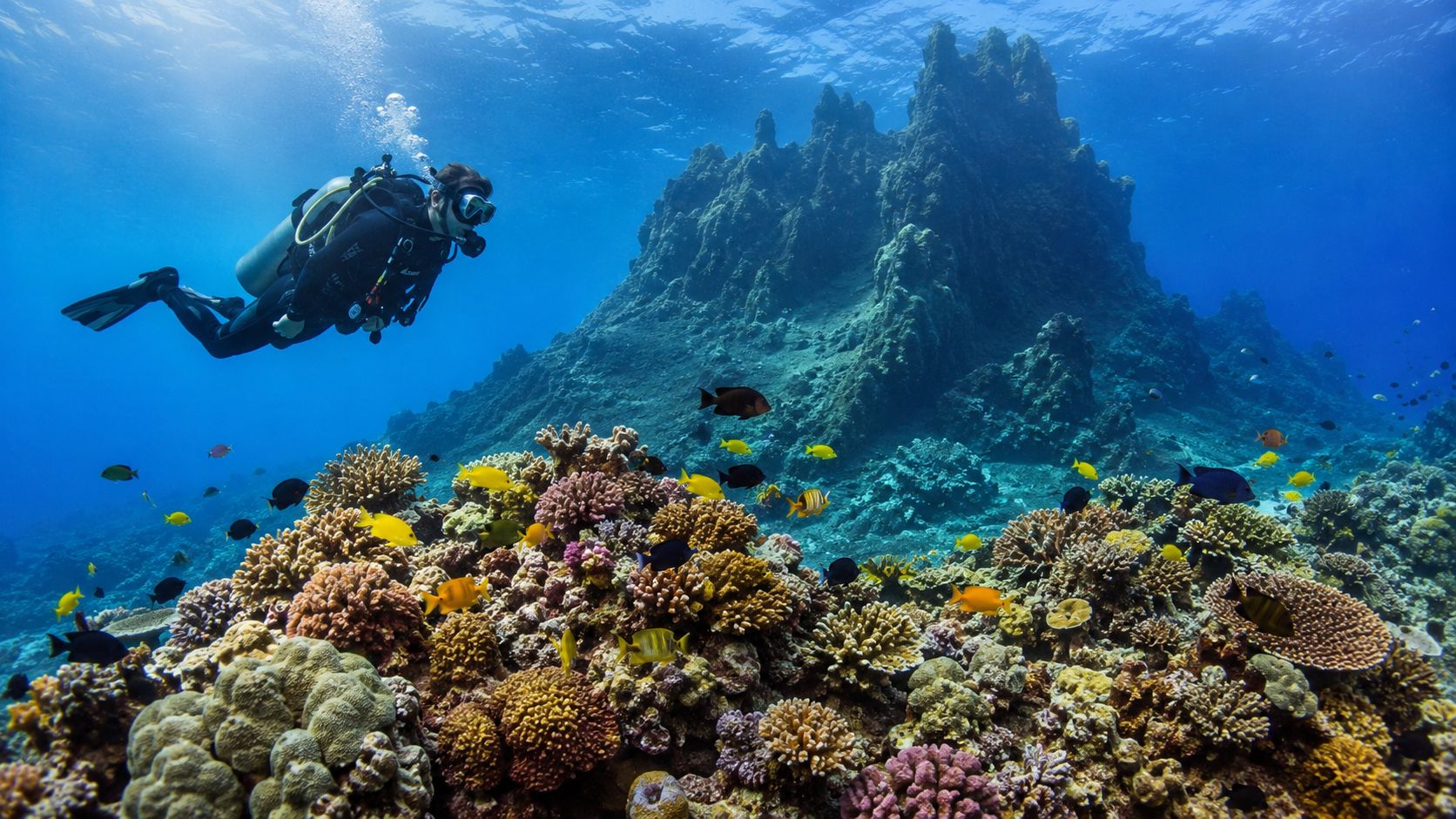 A scuba diver explores a colorful coral reef filled with tropical fish in the deep blue ocean.