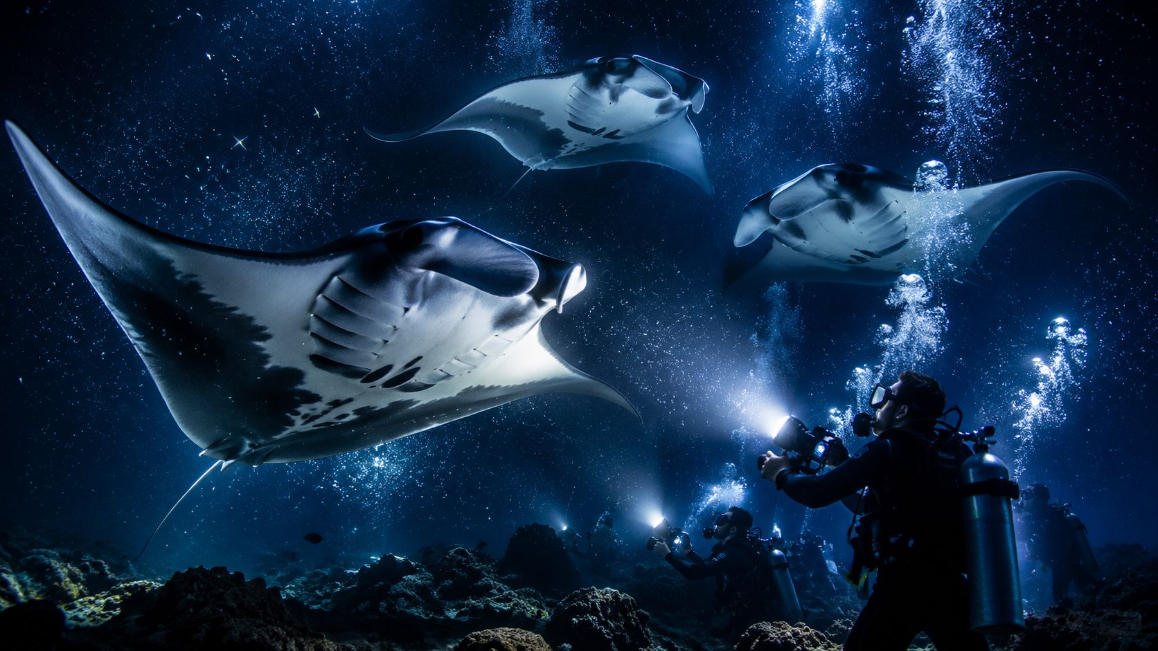 Kona's Unforgettable Signature Dives