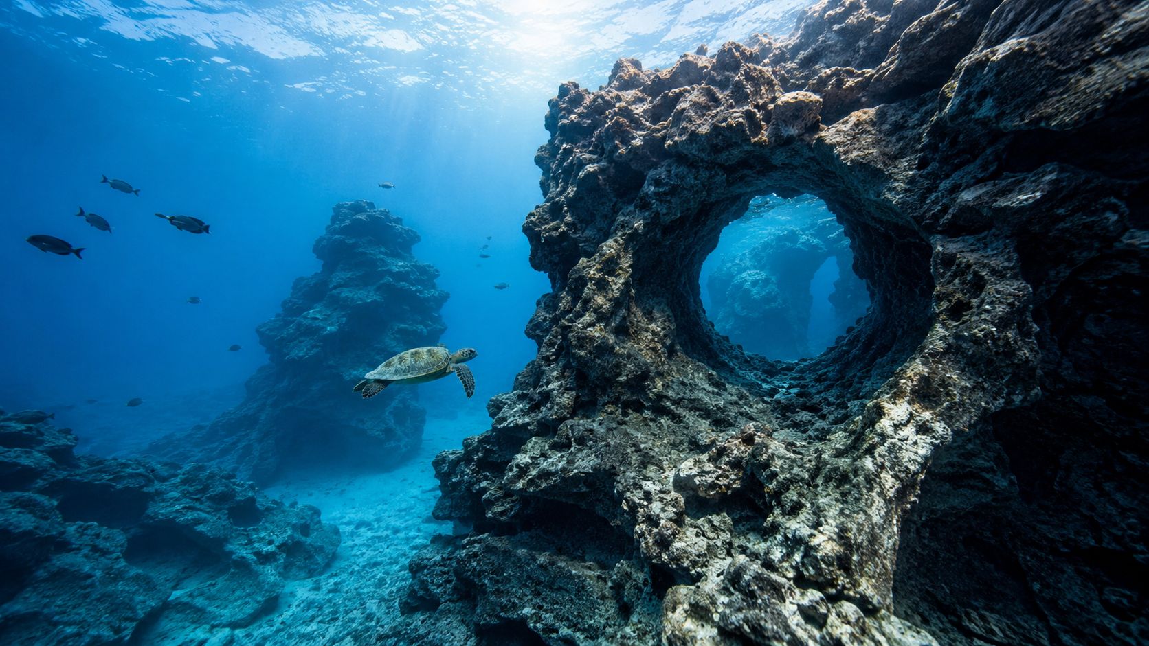 A sea turtle swims underwater past a large natural rock formation with a circular archway in Hawaii.