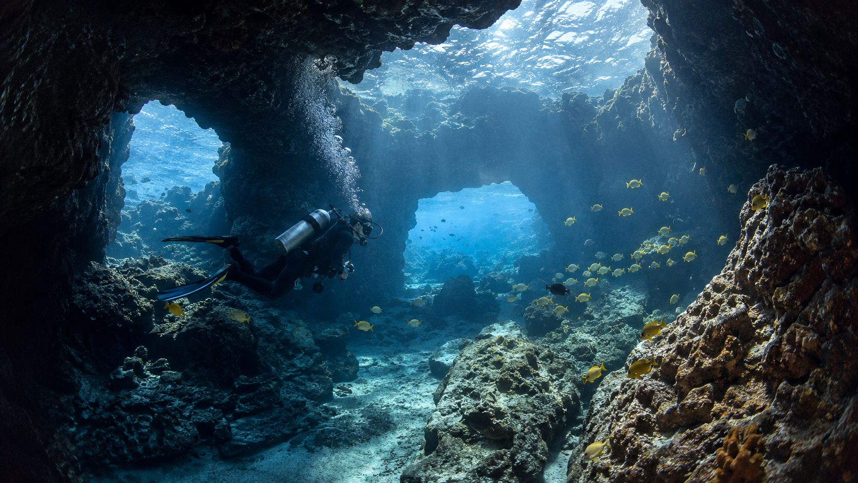 A scuba diver explores a stunning underwater volcanic cave formation filled with bright yellow tropical fish.