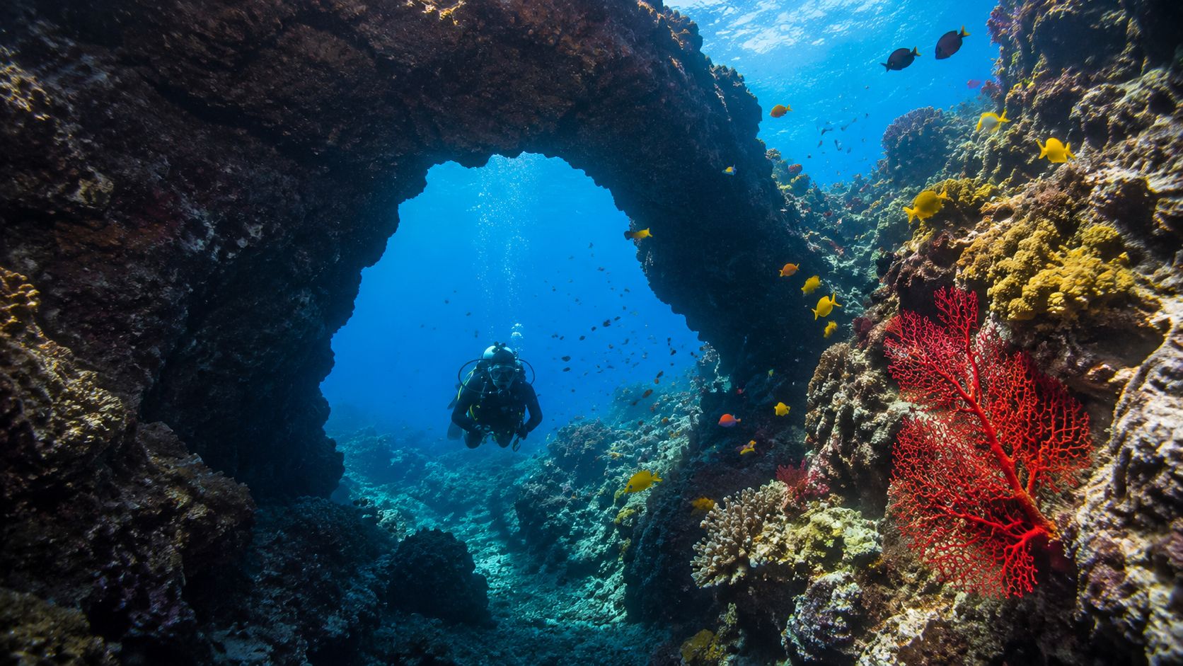 A scuba diver explores a stunning underwater rock archway surrounded by vibrant corals and tropical fish.