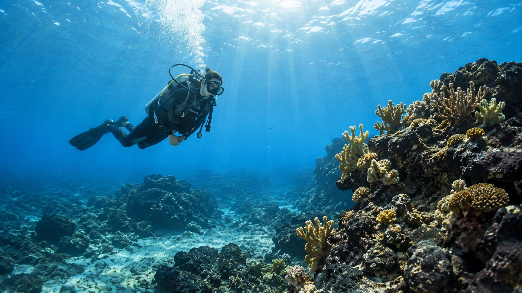 A scuba diver explores a vibrant coral reef in the crystal clear blue waters of the Big Island.