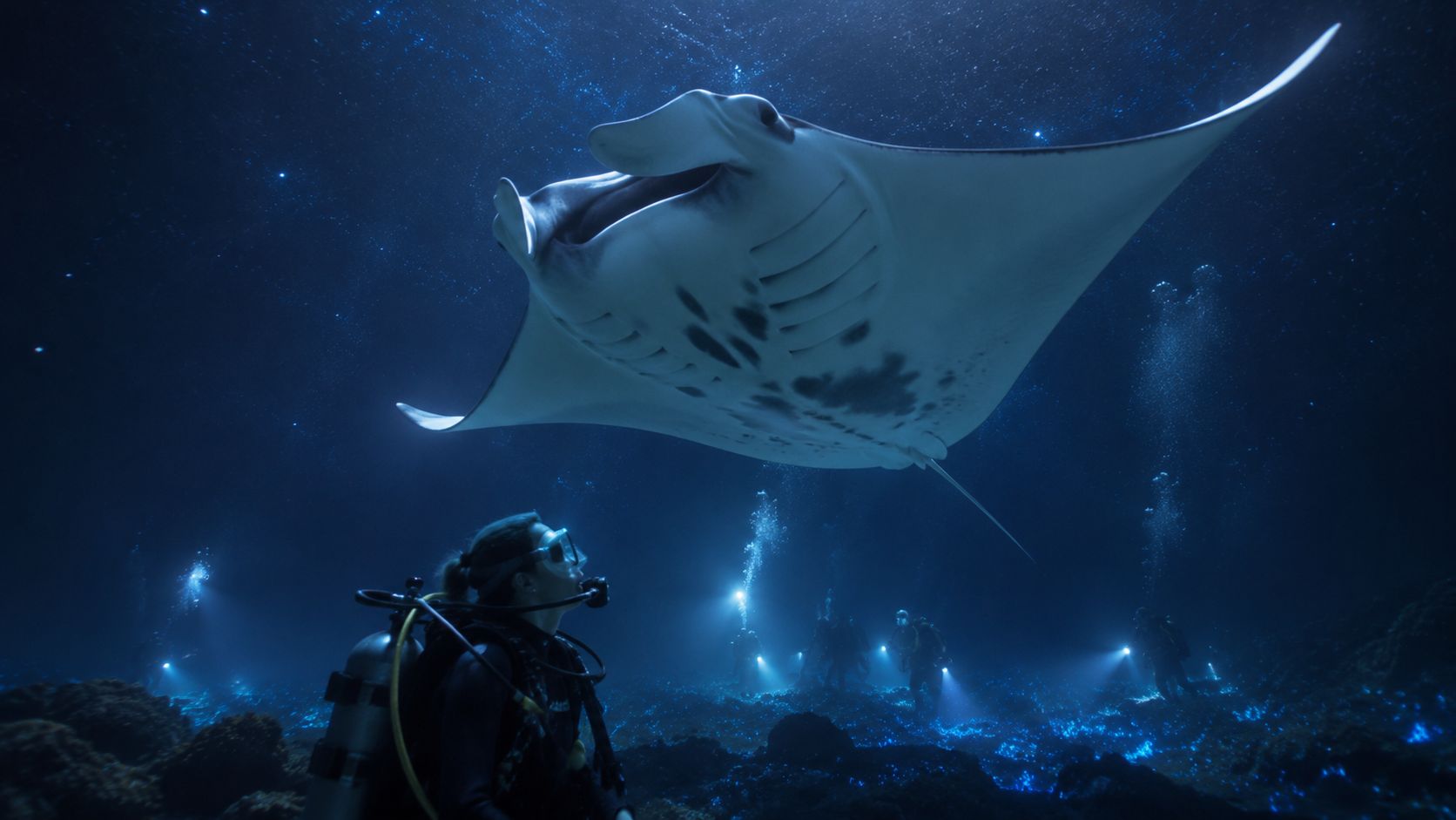 A scuba diver observing a large manta ray swimming in deep blue ocean waters at night