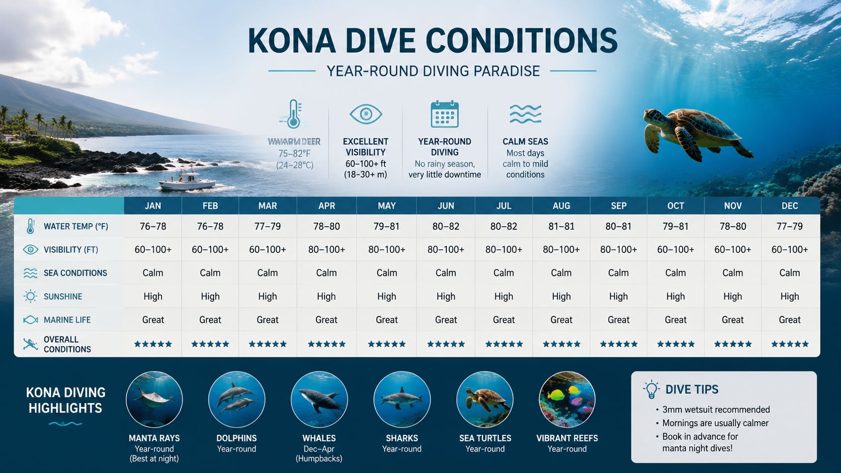 An infographic showing year-round diving conditions, weather, and marine life highlights for scuba diving in Kona.