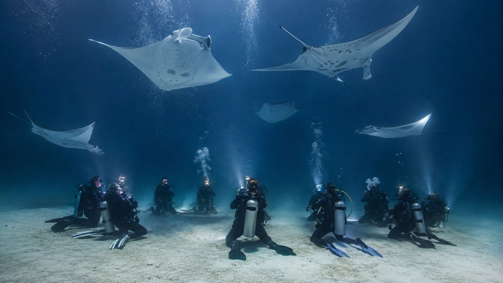 A group of scuba divers kneeling on the sandy ocean floor observing majestic manta rays swimming above.
