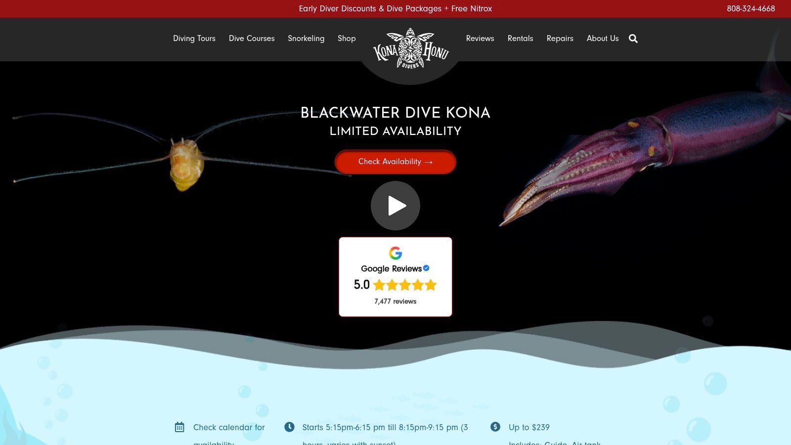 Screenshot from https://konahonudivers.com/diving-tours/black-water-night-dive/