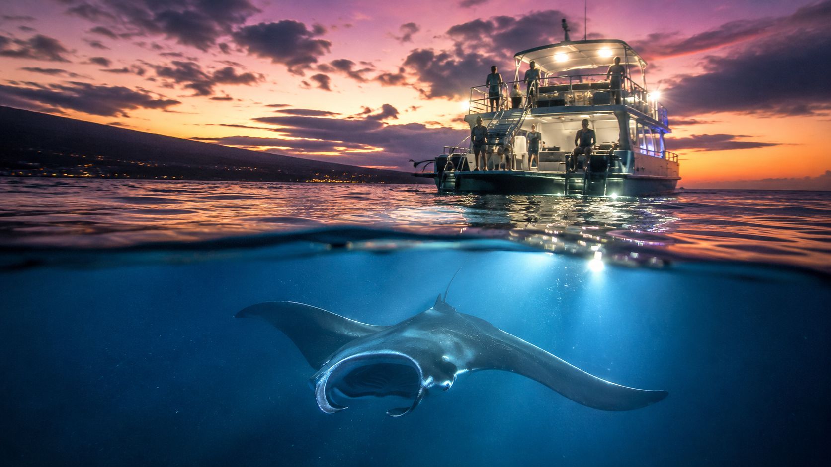 A majestic manta ray swims underwater at night beneath a tour boat during a diving excursion.