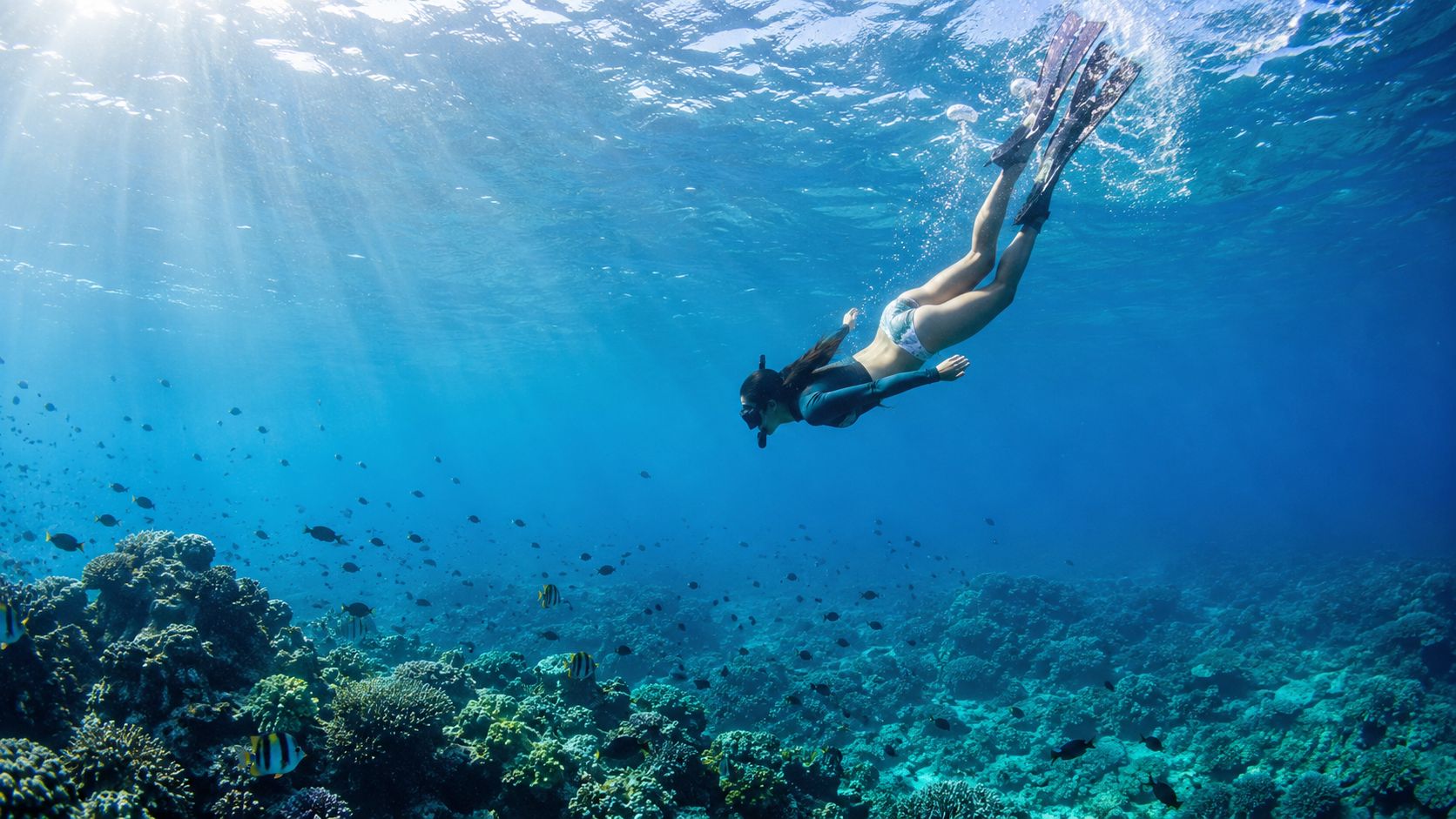 A woman snorkeling underwater over a vibrant coral reef in clear blue ocean water in Hawaii.