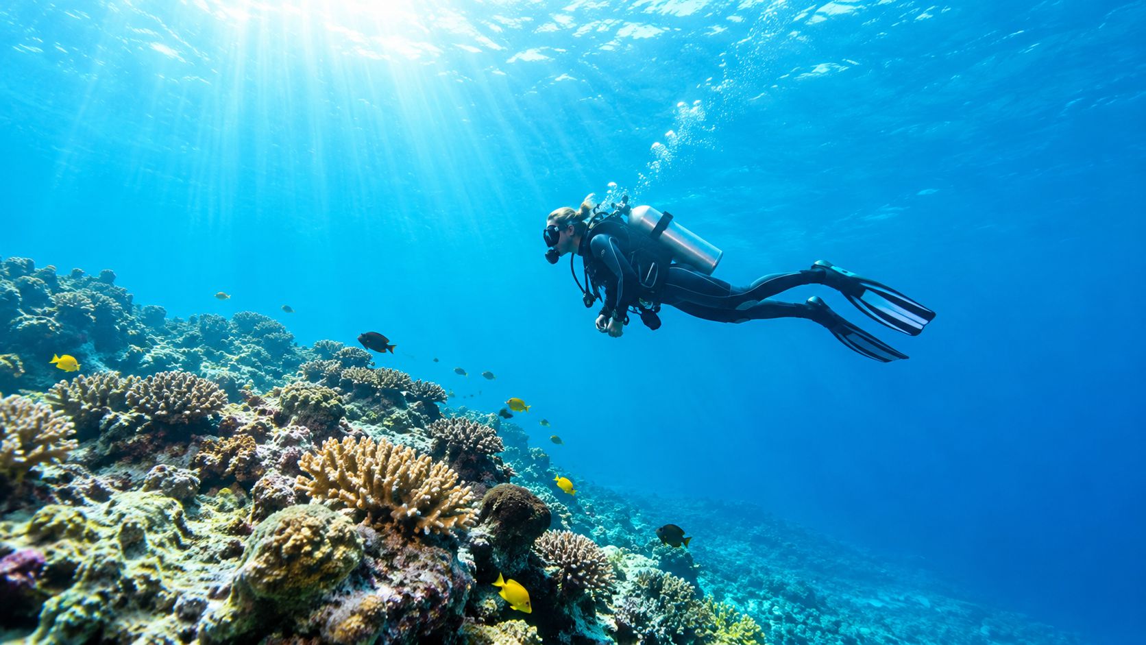 A scuba diver explores a colorful coral reef teeming with tropical fish in clear blue ocean water.