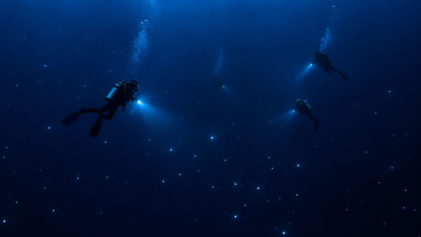 Scuba divers with illuminated flashlights swimming in the dark blue depths of the ocean at night