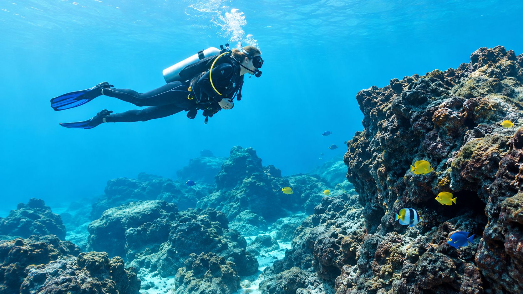 A scuba diver explores a vibrant coral reef near the Big Island, Hawaii, accompanied by tropical fish.