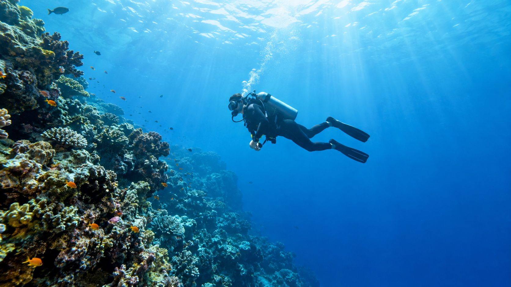 A scuba diver swimming gracefully alongside a vibrant coral reef in the deep blue ocean water