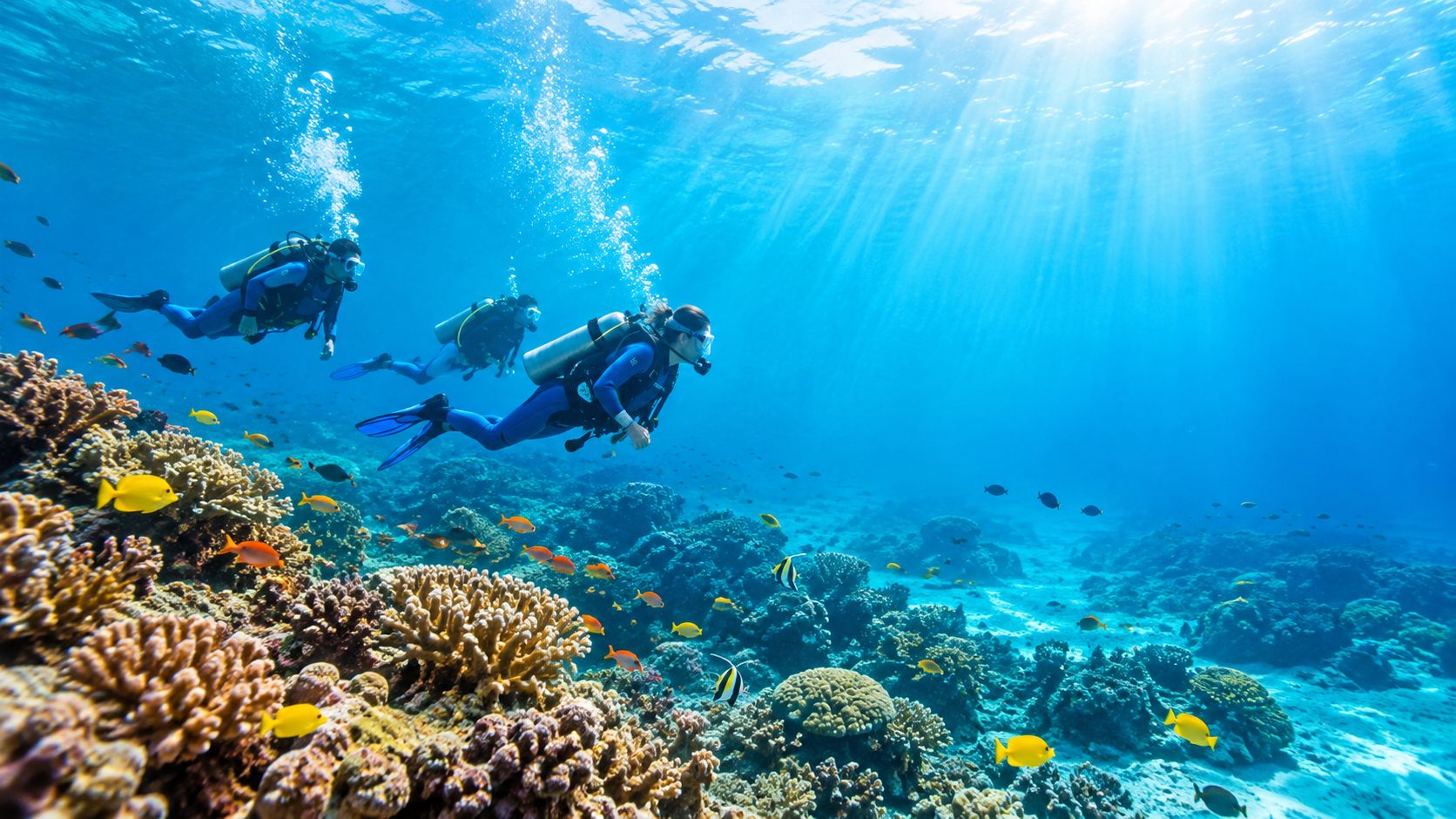 Three scuba divers swimming over a colorful coral reef with schools of tropical fish in clear blue water.