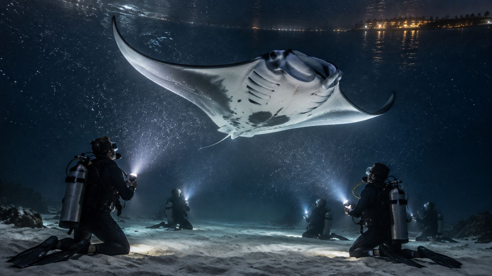 Scuba divers use underwater lights to observe a large manta ray swimming above the sandy ocean floor.