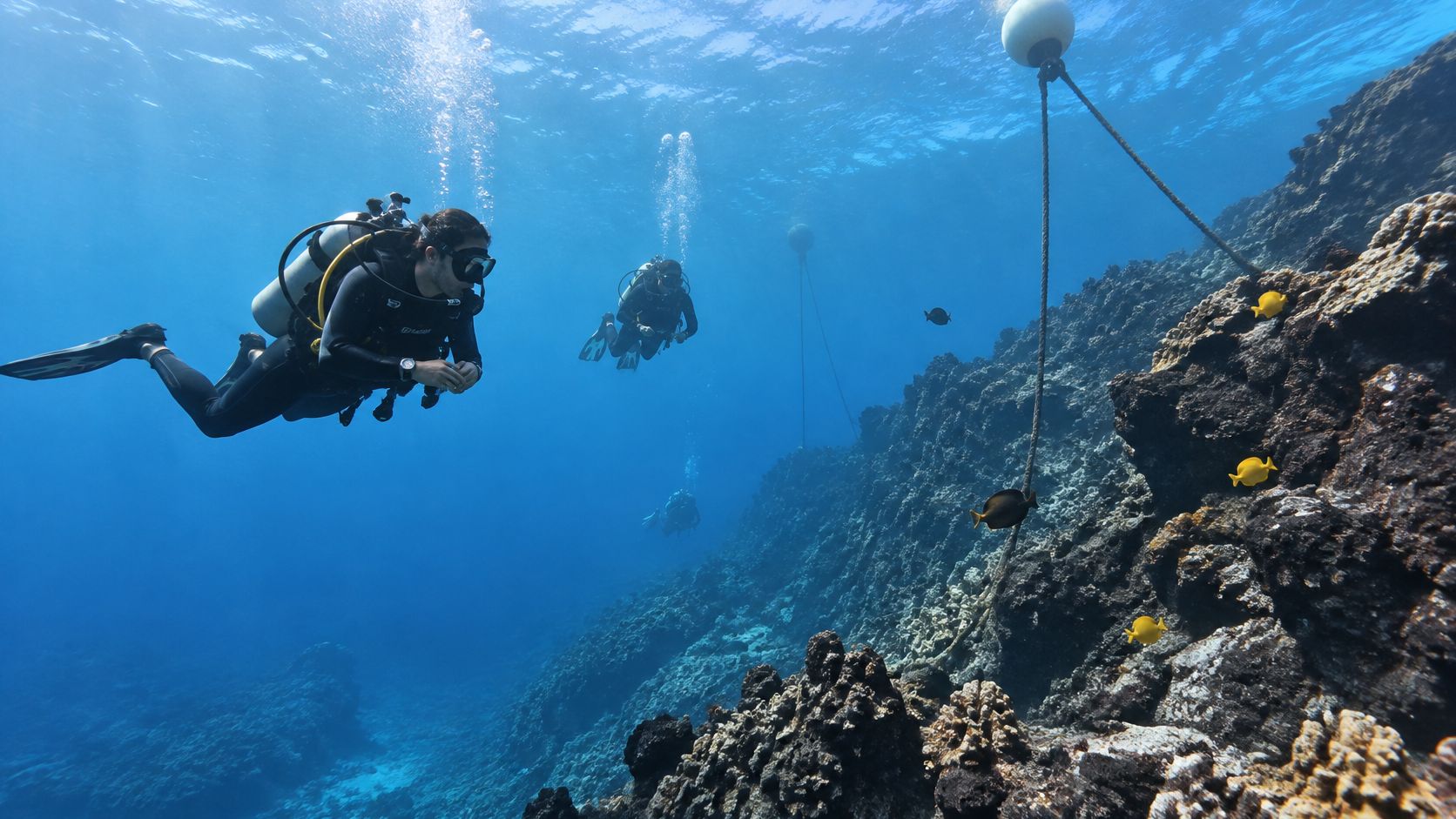 Scuba divers exploring a deep tropical coral reef wall off the coast of Hawaii's Big Island